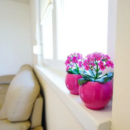 Nath Apartment *